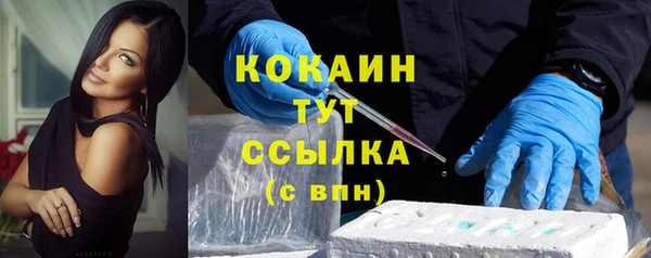 мяу мяу кристалл Корсаков