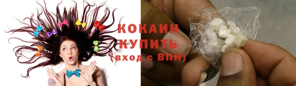мяу мяу кристалл Корсаков