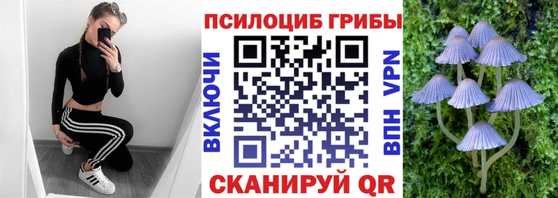 Купить где Луховицы Псилоцибиновые грибы прущие грибы